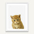 Little Kitten - Minimalist Framed Wall Art